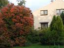  autumn in front of the house